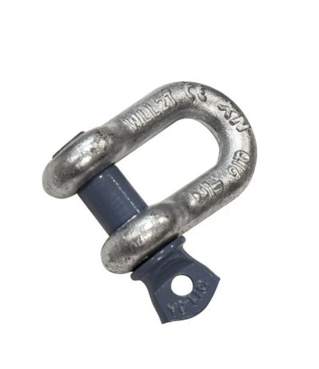 Fed D Shackle with Blue Pin