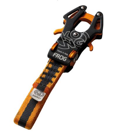 Frog Lanyard