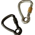 Screwgate Rated Hook