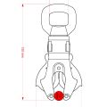 Kong Frog Diagram