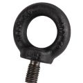 Onyx Eyebolt