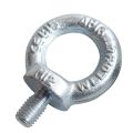 DIN580 Eyebolt
