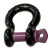 Bow Shackles and D-Shackles
