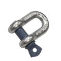 Fed D Shackle with Blue Pin