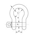 Stainless Steel Bow Shackle
