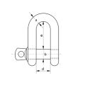 Stainless Steel D Shackle
